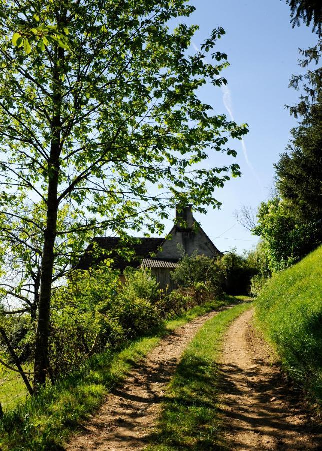Le Bourmier Anlhiac Near Excideuil Villa Eksteriør bilde