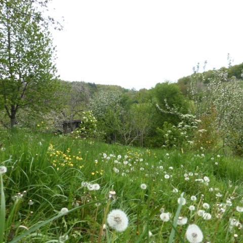 Le Bourmier Anlhiac Near Excideuil Villa Eksteriør bilde